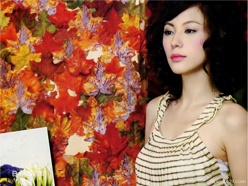 刘心悠(Annie Liu (Annie Lau))精彩图册