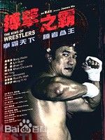 《桑伟淋》封面图片