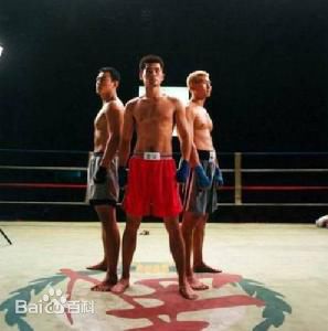 《桑伟淋》封面图片