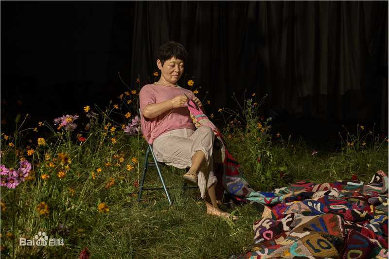 《我的母亲和我的家乡》装置 毛线、玻璃钢、硅胶1600x600cm 2012