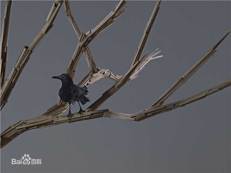 《艾敬》封面图片