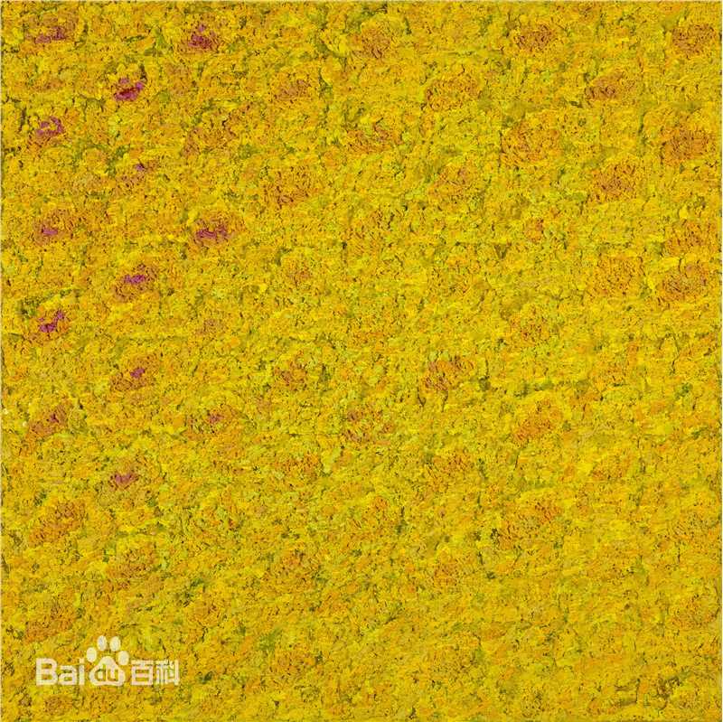 《艾敬》封面图片