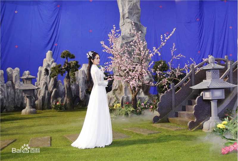 《演员的诞生》