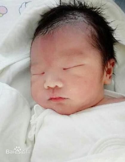 《涂松岩》封面图片