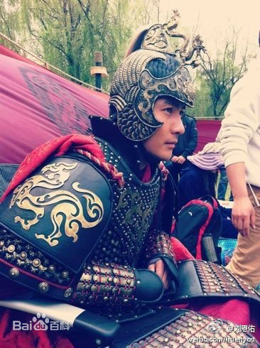 最全刘恩佑(Enyou Liu)在电视剧《精忠岳飞》饰演小梁王中的相册