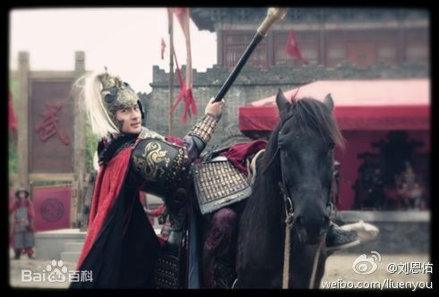 最全刘恩佑(Enyou Liu)在电视剧《精忠岳飞》饰演小梁王中的相册