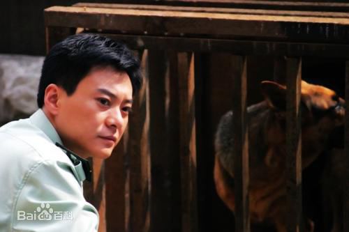 《王斑》精彩图册