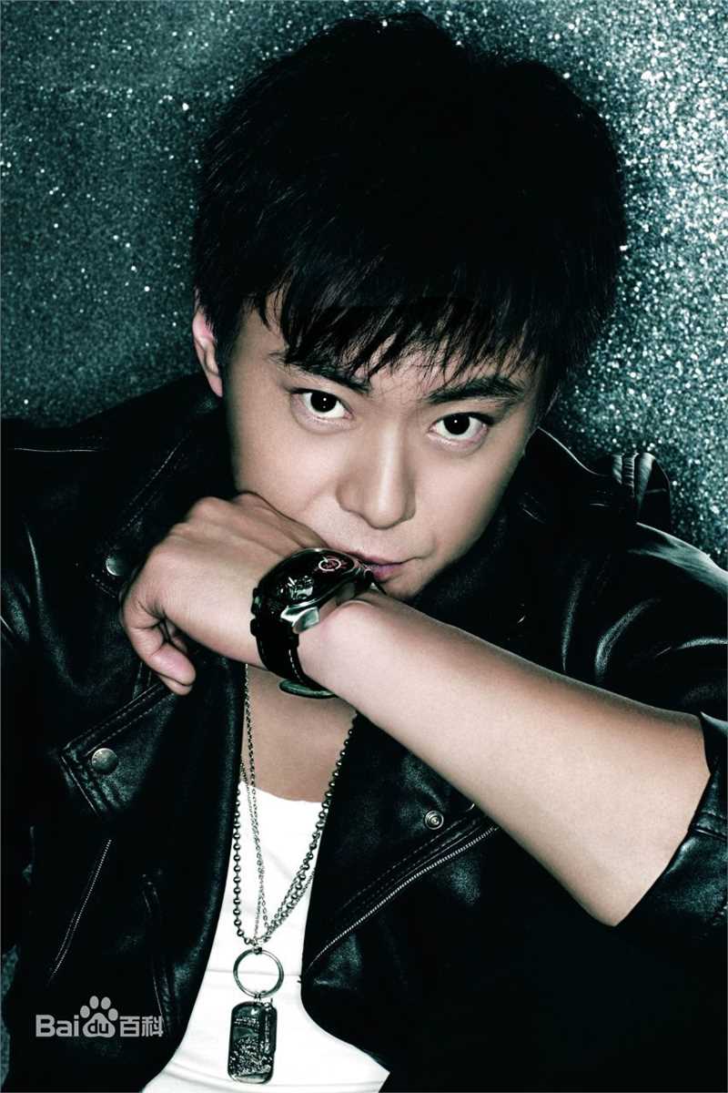 《王斑》精彩图册