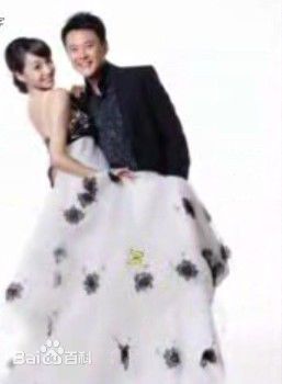 王斑 结婚照