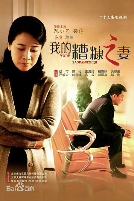 《孙淳》封面图片