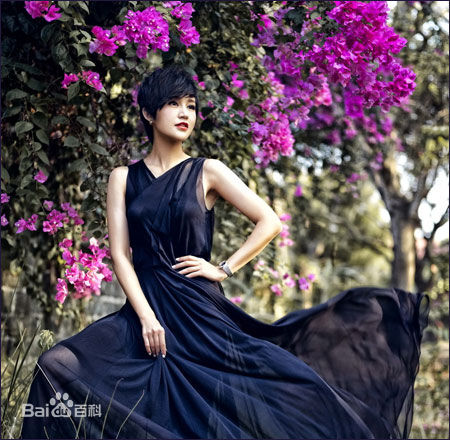 《鲍蕾》封面图片