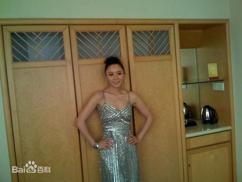 张恒(Rolling)图集图册