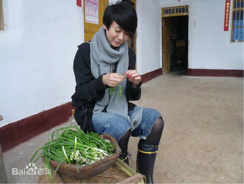 张恒(Rolling)图集图册