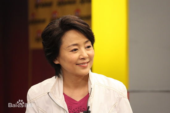 做客某网站聊《庐山恋2010》