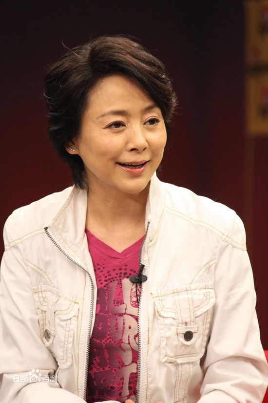 做客某网站聊《庐山恋2010》