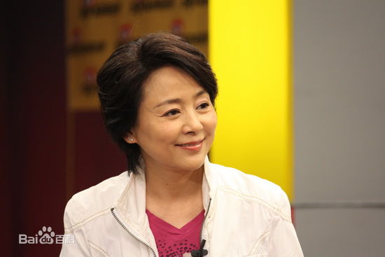 做客某网站聊《庐山恋2010》