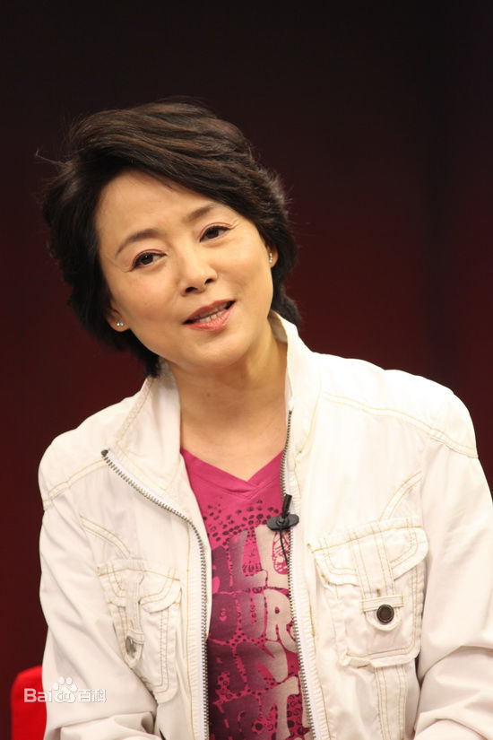 做客某网站聊《庐山恋2010》