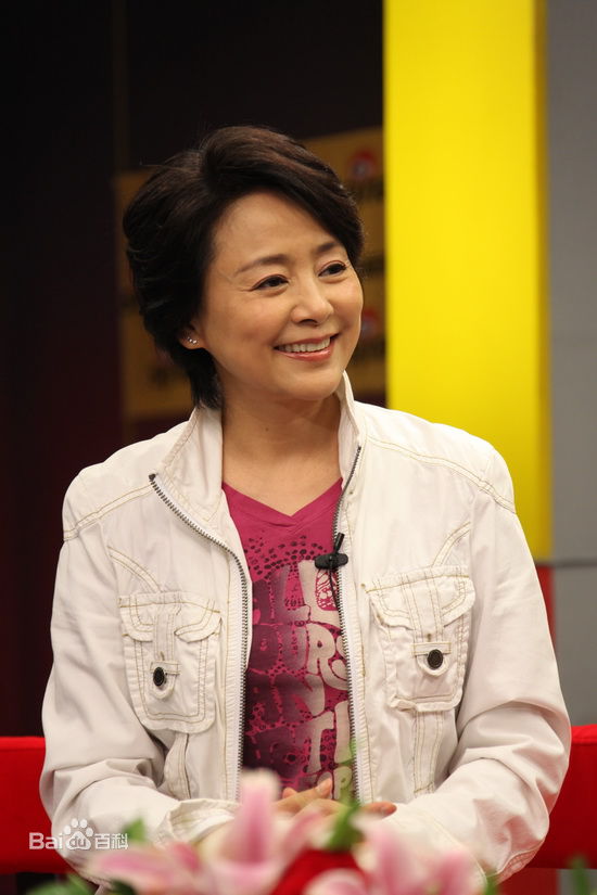 做客某网站聊《庐山恋2010》