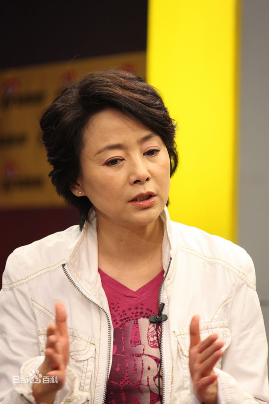 做客某网站聊《庐山恋2010》