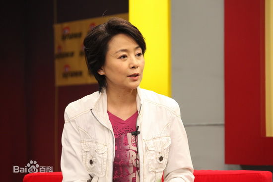 做客某网站聊《庐山恋2010》