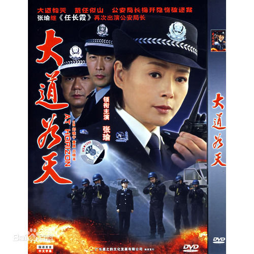 《张瑜》封面图片