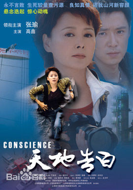 《张瑜》封面图片