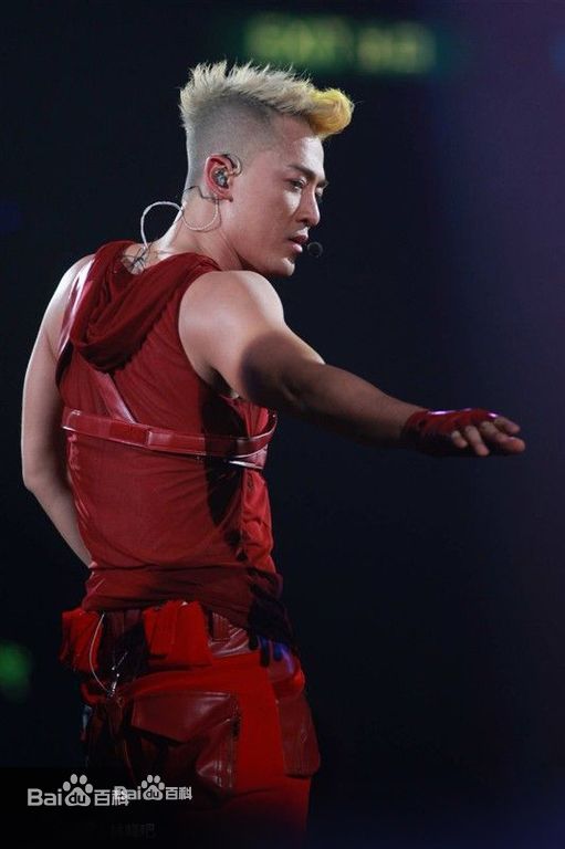 林峯/林峰(LAM Raymond)林峰2013红馆演唱会图册前后照片