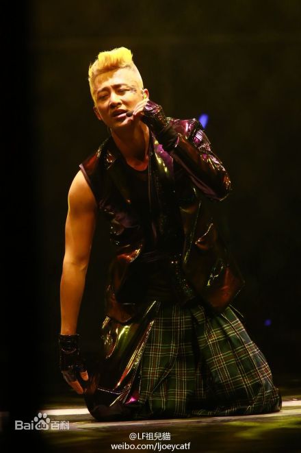 林峯/林峰(LAM Raymond)林峰2013红馆演唱会图册前后照片