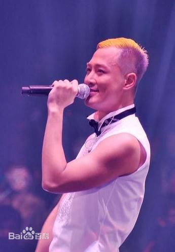 林峯/林峰(LAM Raymond)林峰2013红馆演唱会图册前后照片