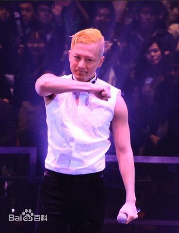 林峯/林峰(LAM Raymond)林峰2013红馆演唱会图册前后照片