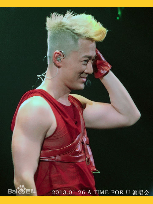 林峯/林峰(LAM Raymond)林峰2013红馆演唱会图册前后照片