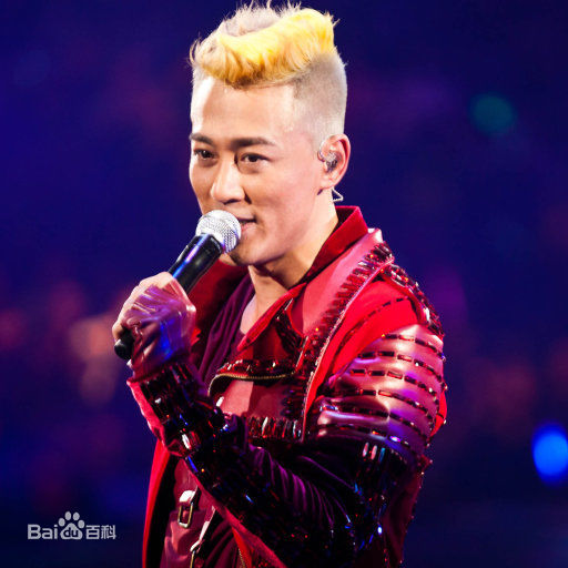 林峯/林峰(LAM Raymond)林峰2013红馆演唱会图册前后照片