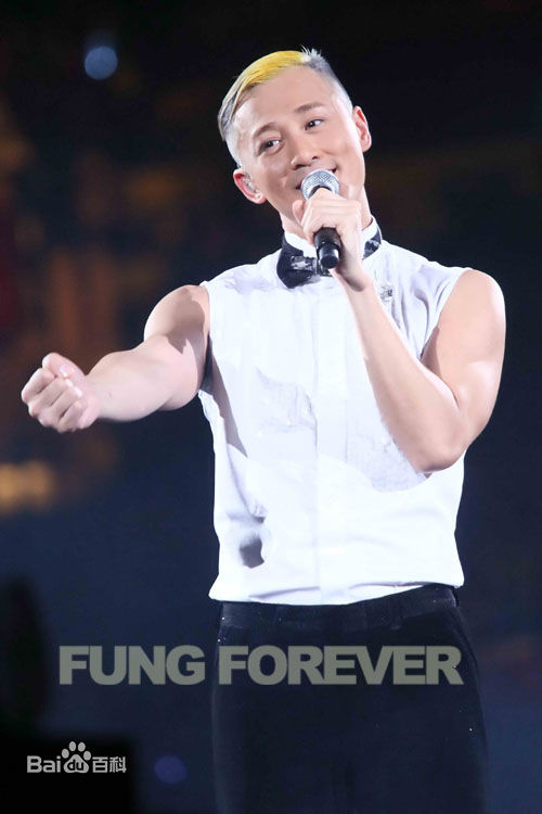 林峯/林峰(LAM Raymond)林峰2013红馆演唱会图册前后照片