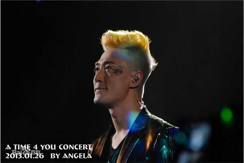 林峯/林峰(LAM Raymond)林峰2013红馆演唱会图册前后照片