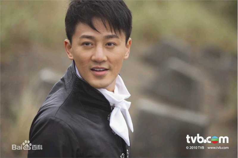 林峯/林峰(LAM Raymond)主演的电影图册前后照片