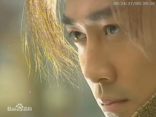 林峯/林峰(LAM Raymond)林峯主演的古装剧图册图册