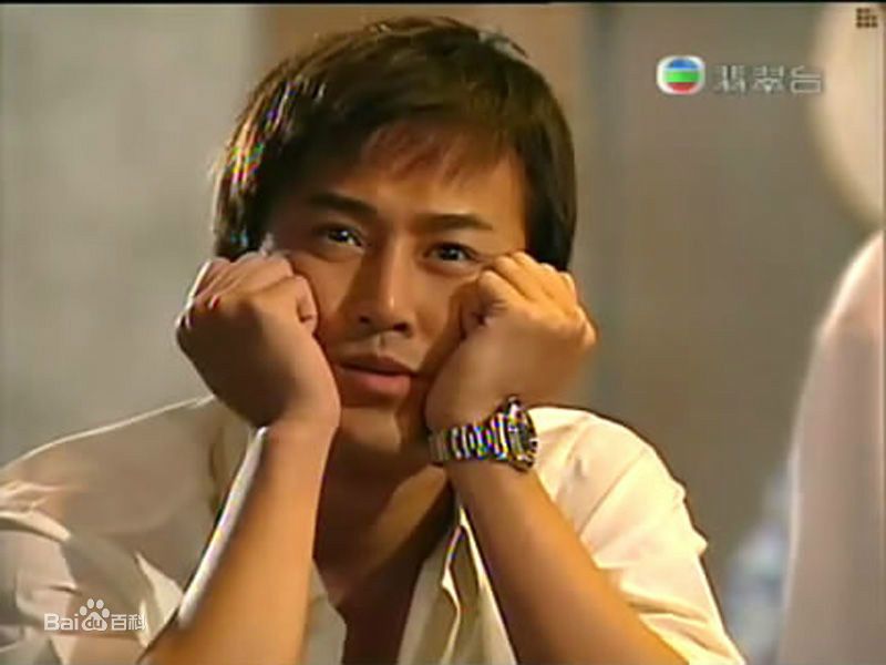 林峯/林峰(LAM Raymond)林峯主演的现代剧图册生活照