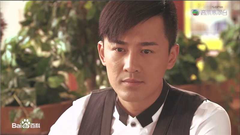 最全林峯/林峰(LAM Raymond)在《谈情说案》2010中的壁纸