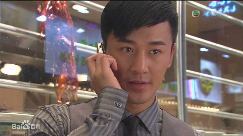 最全林峯/林峰(LAM Raymond)在《谈情说案》2010中的壁纸