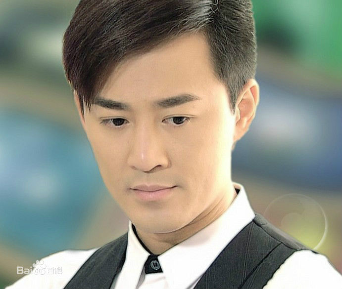 最全林峯/林峰(LAM Raymond)在《谈情说案》2010中的壁纸