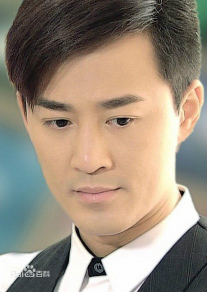 最全林峯/林峰(LAM Raymond)在《谈情说案》2010中的壁纸