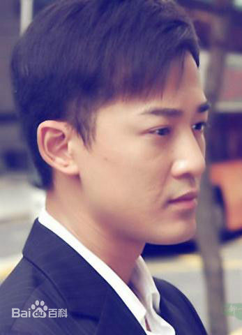 精选林峯/林峰(LAM Raymond)在《溏心风暴》2007中的图册