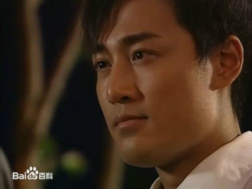 精选林峯/林峰(LAM Raymond)在《溏心风暴》2007中的图册