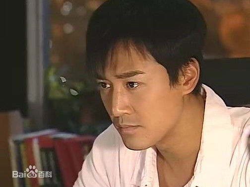 精选林峯/林峰(LAM Raymond)在《溏心风暴》2007中的图册