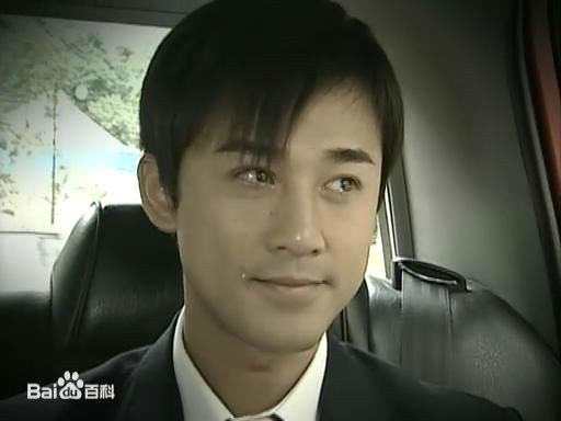 精选林峯/林峰(LAM Raymond)在《溏心风暴》2007中的图册