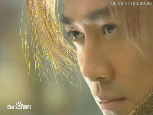 高清林峯/林峰(LAM Raymond)在《大唐双龙传》2004中的图集