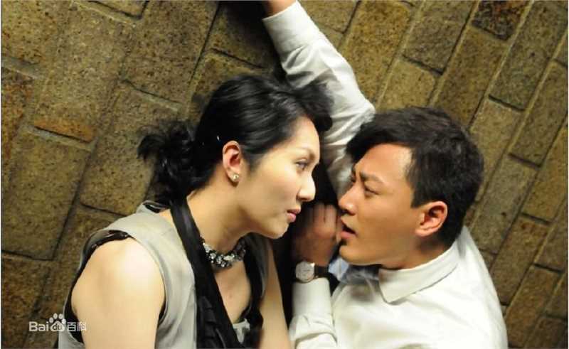 高清林峯/林峰(LAM Raymond)在《完美嫁衣》2010年中的图集