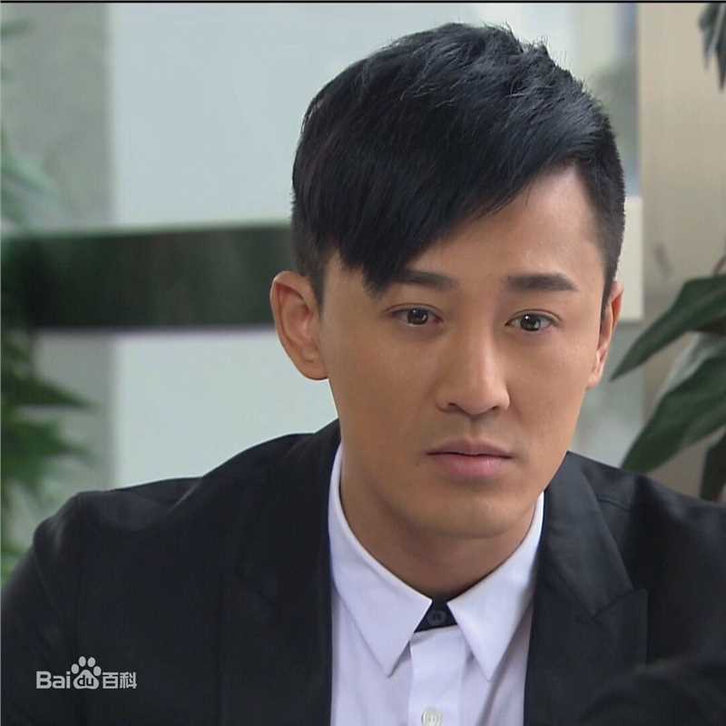 高清林峯/林峰(LAM Raymond)在《谈情说案》景博中的图集