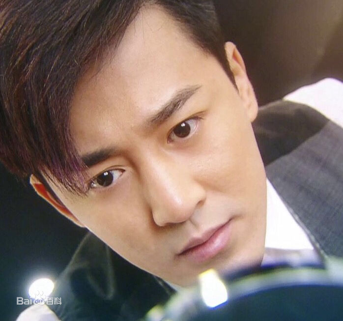 高清林峯/林峰(LAM Raymond)在《谈情说案》景博中的图集