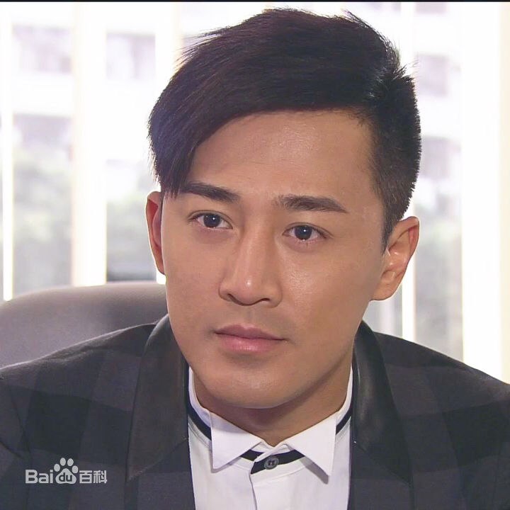 高清林峯/林峰(LAM Raymond)在《谈情说案》景博中的图集